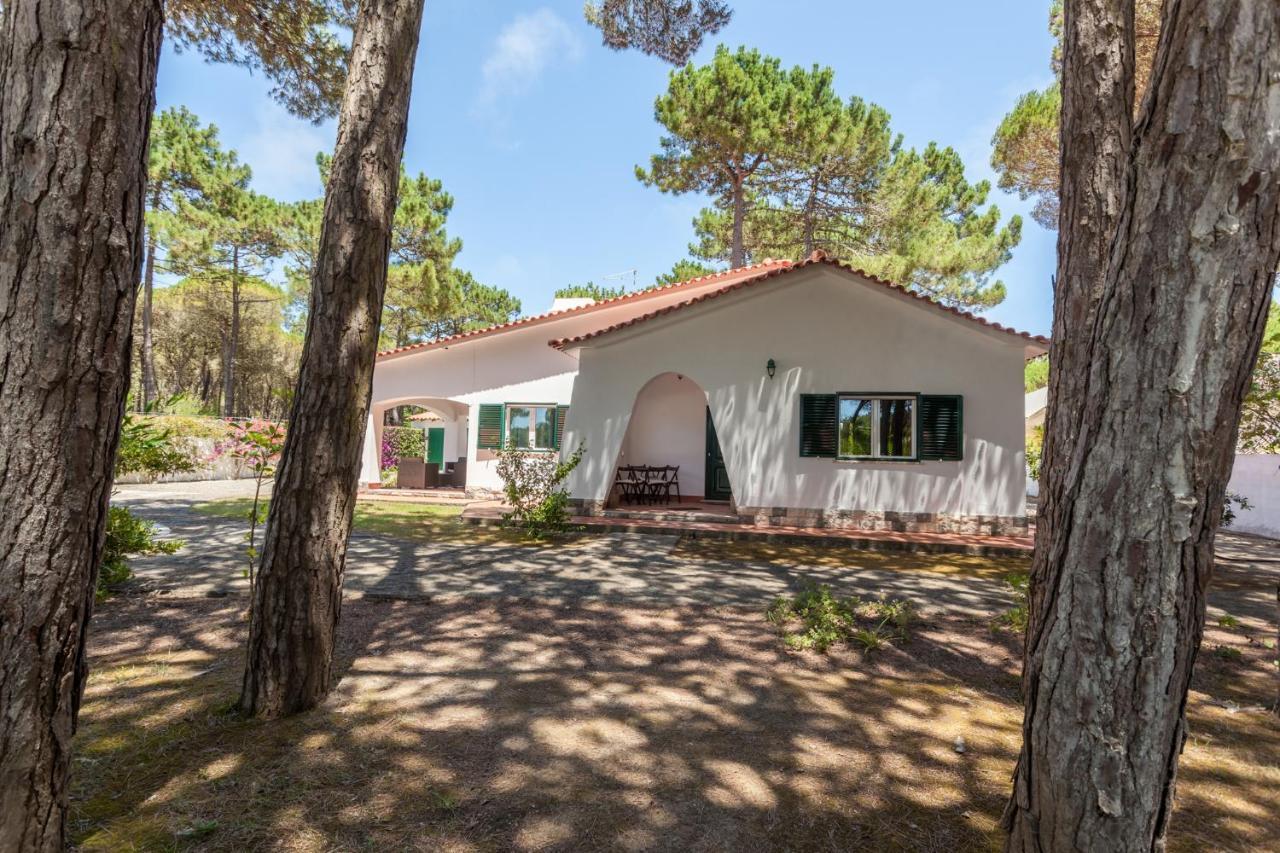 Ocean, Pines And Mountain - Renovated February 2025 - Ac Villa Colares Exteriör bild