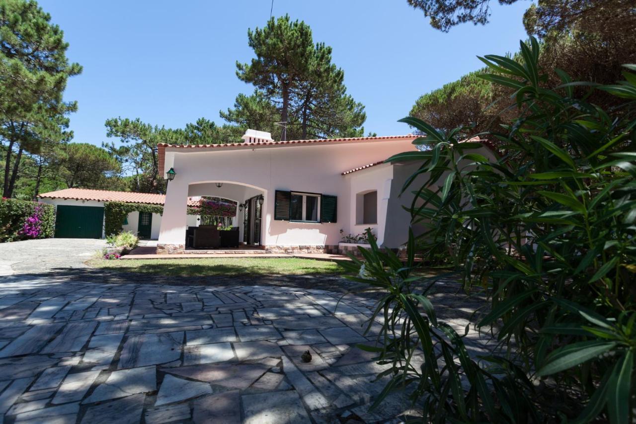 Ocean, Pines And Mountain - Renovated February 2025 - Ac Villa Colares Exteriör bild