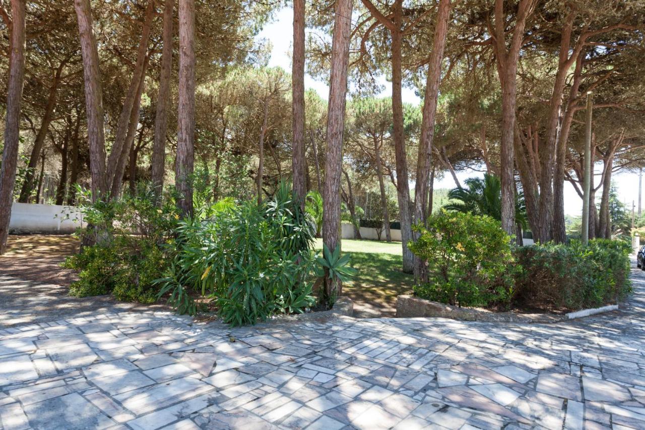 Ocean, Pines And Mountain - Renovated February 2025 - Ac Villa Colares Exteriör bild