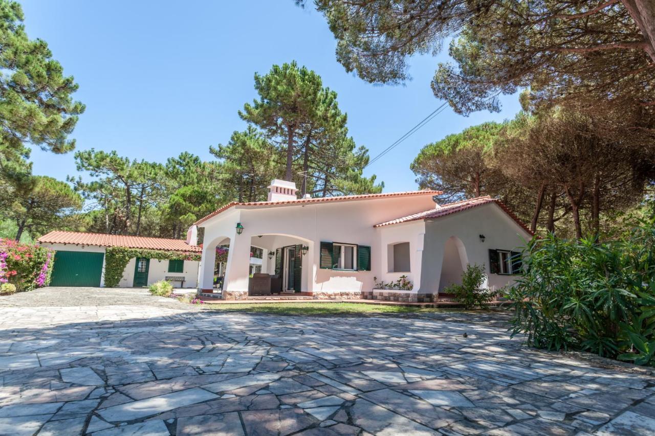 Ocean, Pines And Mountain - Renovated February 2025 - Ac Villa Colares Exteriör bild